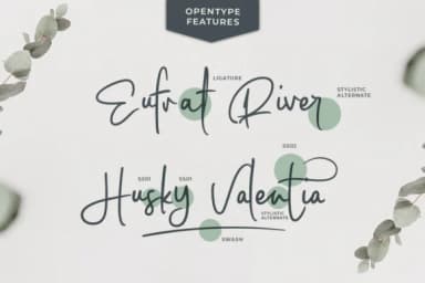 Coastal Musk Font by Avotype — Script Handwritten Font — thumbnail 6