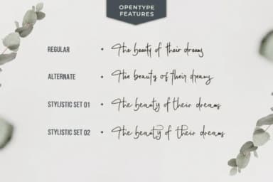 Coastal Musk Font by Avotype — Script Handwritten Font — thumbnail 7