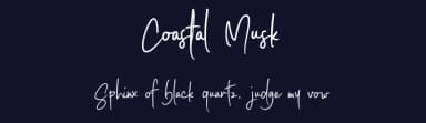 Coastal Musk by Avotype Studio — Script Handwritten Font — thumbnail 2