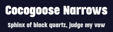 Cocogoose Narrows by Zetafonts — Sans Serif Font — thumbnail 2