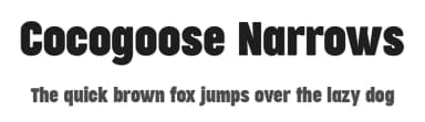 Cocogoose Narrows by Zetafonts — Sans Serif Font — thumbnail 1