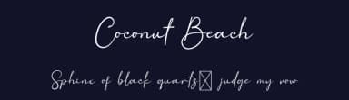 Coconut Beach by twinletter — Script Handwritten Font — thumbnail 2