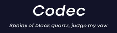 Codec by Zetafonts — Sans Serif Font — thumbnail 2