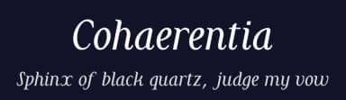 Cohaerentia by Michele Giordano — Serif Font — thumbnail 2