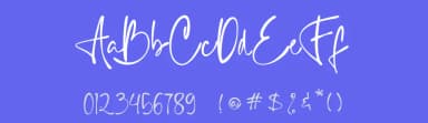 Collegass Signature by Duanolle Studio — Script Handwritten Font — thumbnail 3
