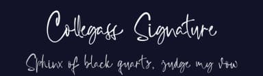 Collegass Signature by Duanolle Studio — Script Handwritten Font — thumbnail 2