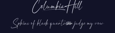 Columbia Hill by VinType — Script Handwritten Font — thumbnail 2