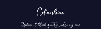 Columbine by Vztype Studio — Script Handwritten Font — thumbnail 2