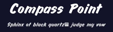 Compass Point by BLKBK Fonts — Script Handwritten Font — thumbnail 2