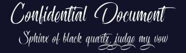 Confidential Document by Octotype  | Thomas Boucherie — Script Handwritten Font — thumbnail 2