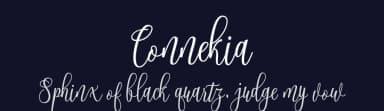 Connekia by Type Design — Script Handwritten Font — thumbnail 2