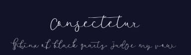 Consectetur by Mariyana — Script Handwritten Font — thumbnail 2