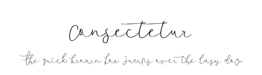 Consectetur by Mariyana — Script Handwritten Font