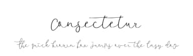 Consectetur by Mariyana — Script Handwritten Font — thumbnail 1