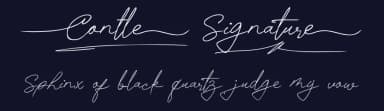 Contle Signature by Fontada — Script Handwritten Font — thumbnail 2