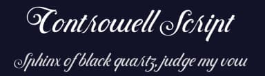 Controwell Script by Alit Design — Script Handwritten Font — thumbnail 2