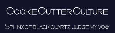 Cookie Cutter Culture by Chequered Ink — Sans Serif Font — thumbnail 2