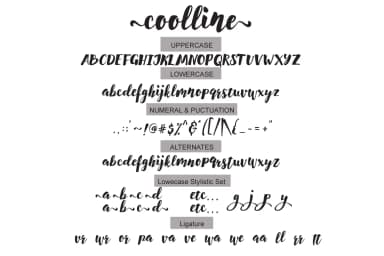 Coolline Font by Cooldesignlab — Script Handwritten Font — thumbnail 8