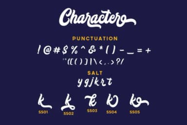 Copacetic Font by Askmewhy — Script Handwritten Font — thumbnail 3