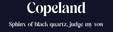 Copeland by Storytype Studio — Serif Font — thumbnail 2