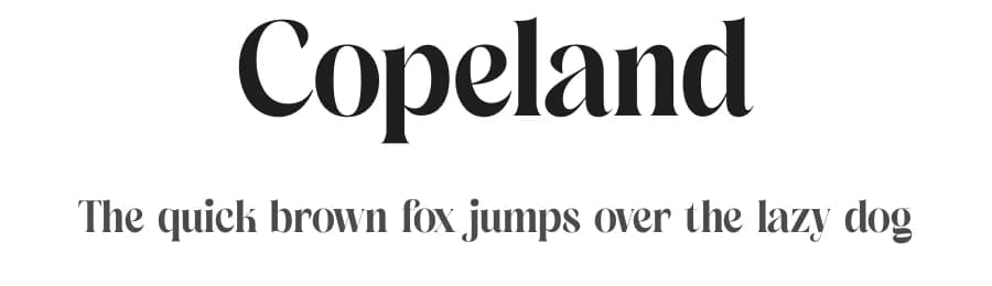 Copeland by Storytype Studio — Serif Font