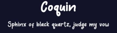Coquin by Debut Studio — Script Handwritten Font — thumbnail 2