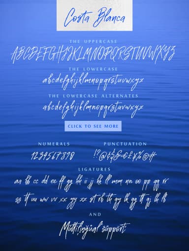 Costa Blanca Font by Iradvilyuk — Script Handwritten Font — thumbnail 2