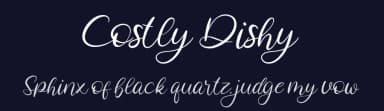Costly Dishy by Paily Studio — Script Handwritten Font — thumbnail 2