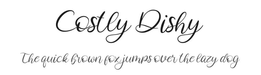 Costly Dishy by Paily Studio — Script Handwritten Font