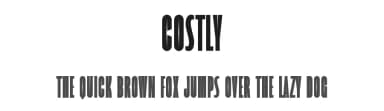 Costly by Graphicxell — Sans Serif Font — thumbnail 1