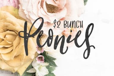 Cottage Gardens Font by Creativeqube Design — Script Handwritten Font — thumbnail 6