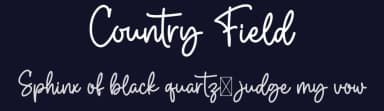 Country Field by Graphix Line Studio — Script Handwritten Font — thumbnail 2