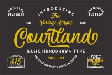 Courtland Font by Garisman Studio — Script Handwritten Font — thumbnail 1