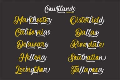 Courtland Font by Garisman Studio — Script Handwritten Font — thumbnail 3