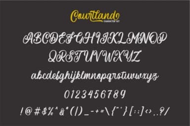 Courtland Font by Garisman Studio — Script Handwritten Font — thumbnail 7