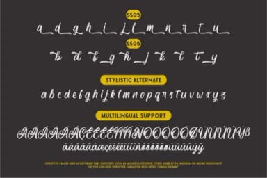 Courtland Font by Garisman Studio — Script Handwritten Font — thumbnail 9