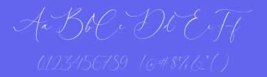 Courtney Martines by Timur Type — Script Handwritten Font — thumbnail 3