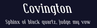Covington by Apostrophic Labs — Serif Font — thumbnail 2