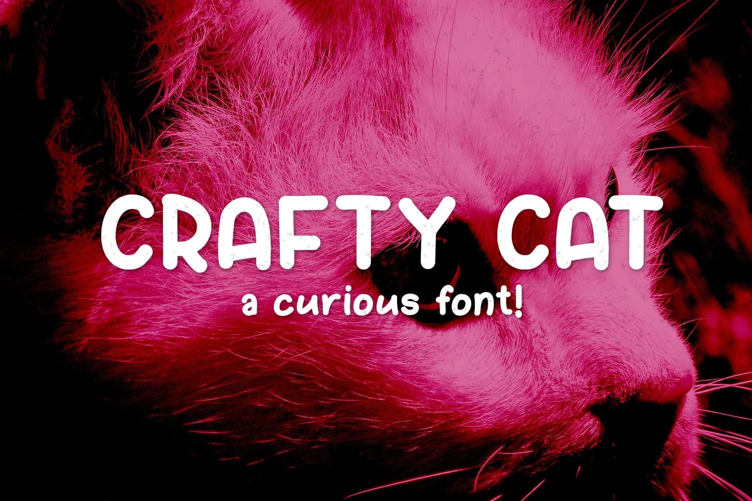 Crafty Cat Font by Kristy Hatswell — Script Handwritten Font