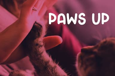 Crafty Cat Font by Kristy Hatswell — Script Handwritten Font — thumbnail 2