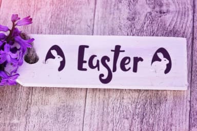 Crazy Pug Font by Illustrator Guru — Script Handwritten Font — thumbnail 4