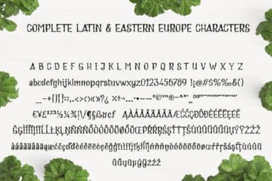 Cream Soup Font by Royaltype — Script Handwritten Font — thumbnail 5