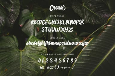 Creasi Font by rudhisasmito — Script Handwritten Font — thumbnail 2