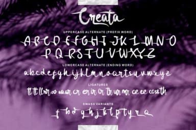 Creata Font by glyphstyle — Script Handwritten Font — thumbnail 6