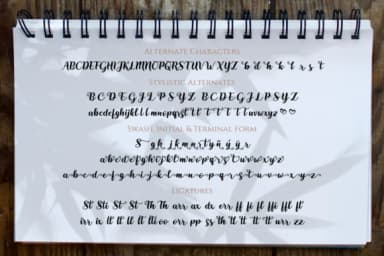 Creatie Font by MaxnorType — Script Handwritten Font — thumbnail 7