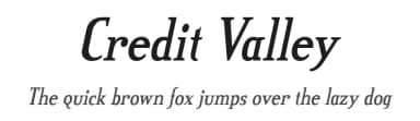 Credit Valley by Typodermic Fonts — Serif Font — thumbnail 1