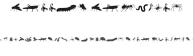 Creepy Crawlies by Iconian Fonts — Dingbats Font — thumbnail 1