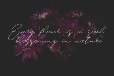 Cremme Font by Alejandra — Script Handwritten Font — thumbnail 2