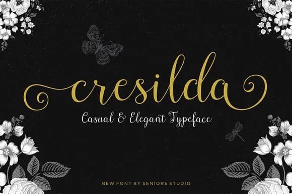 Cresilda Script Font by seniorsstudio — Script Handwritten Font