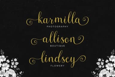 Cresilda Script Font by seniorsstudio — Script Handwritten Font — thumbnail 4